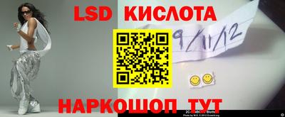 прущие грибы Кимры