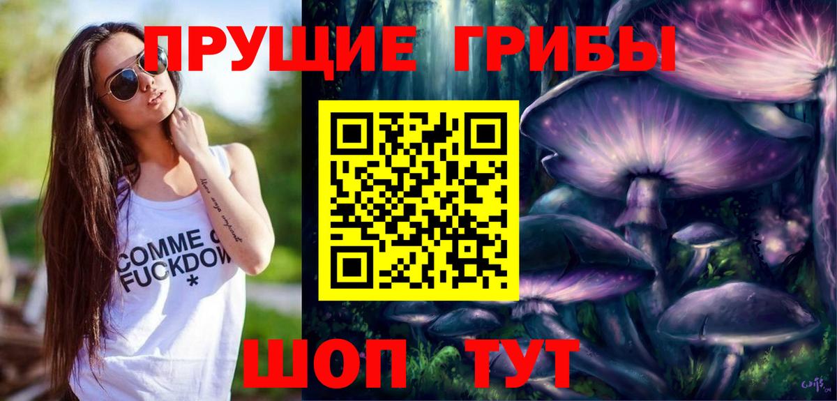 Псилоцибиновые грибы Psilocybine cubensis Видное
